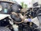2021 Freightliner Business Class M2 112 Base